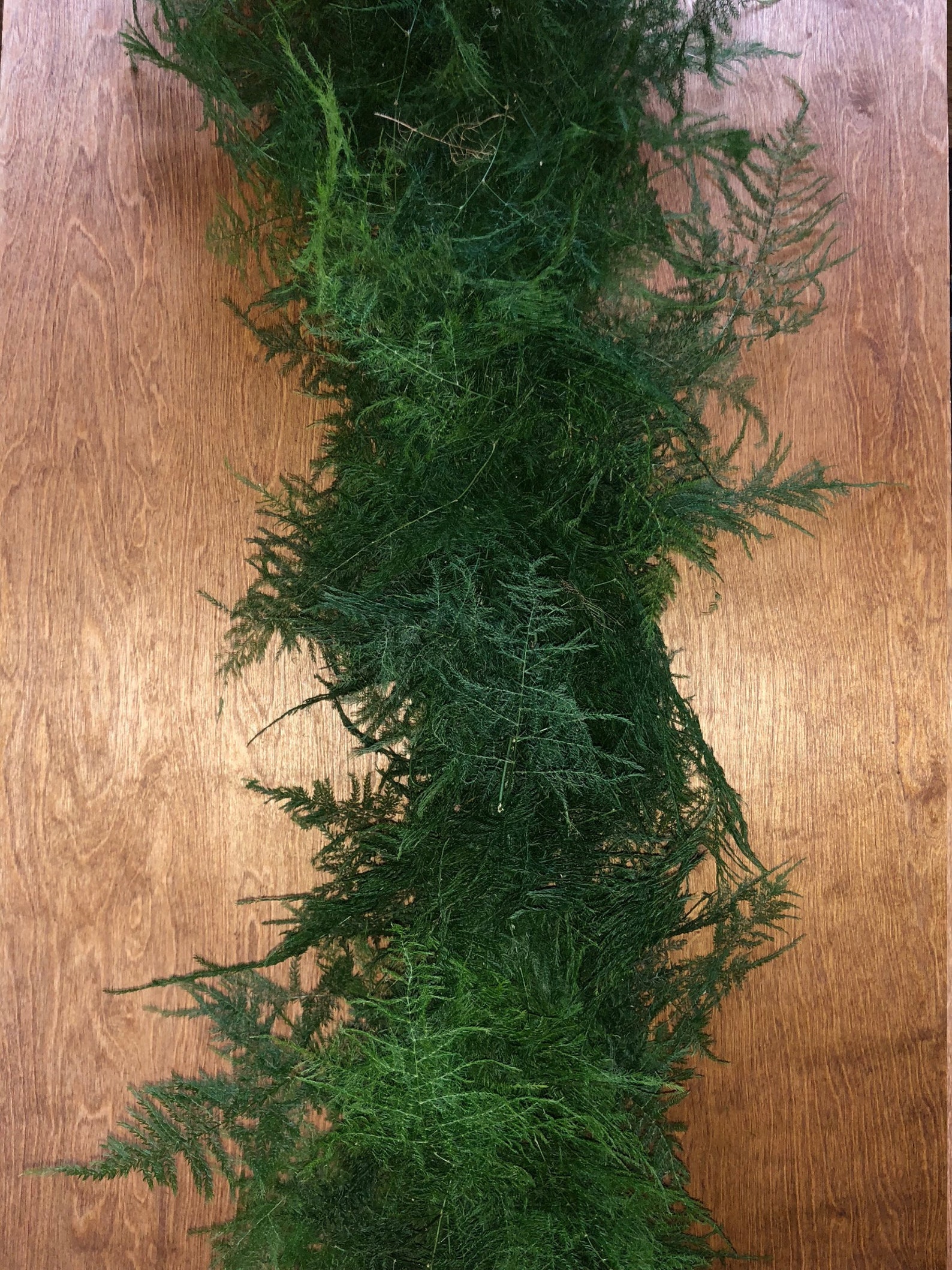 Freshly Cut Plumosus Garland Asparagus Fern Garland Greenery Etsy