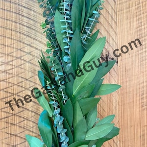 Freshly Harvested Baby Blue and Bay Leaf Garland