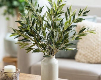 Fresh Olive Branch Bunches