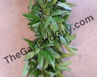 Freshly Harvested Bay Leaf Garland, Fresh Bay, Real Bay Garland, Fresh Foliage Garland