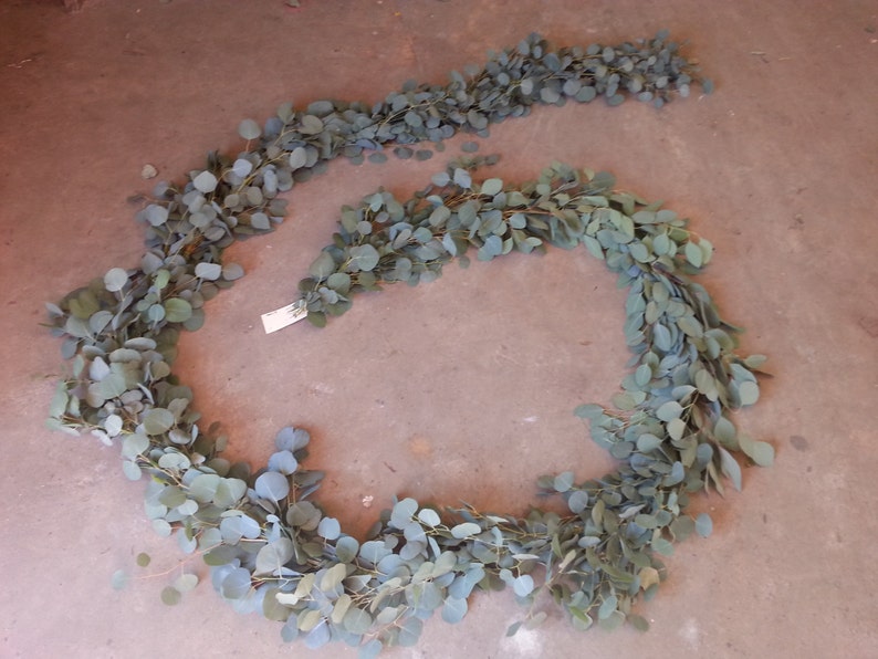 Silver Dollar Eucalyptus Garland Wedding Garland Fresh Etsy