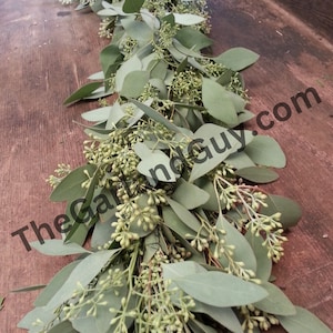 Freshly Harvested Seeded Eucalyptus Garland, Seeded Eucalyptus, Wedding Garland, Real Garland, Fresh Greens Garland, Wedding Decor image 1