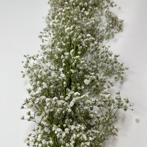 Freshly Cut Baby's Breath Garland, Table Runner, Babys Breath Garland, Aisle Runner, Wedding Center Piece, Fresh Babys Breath