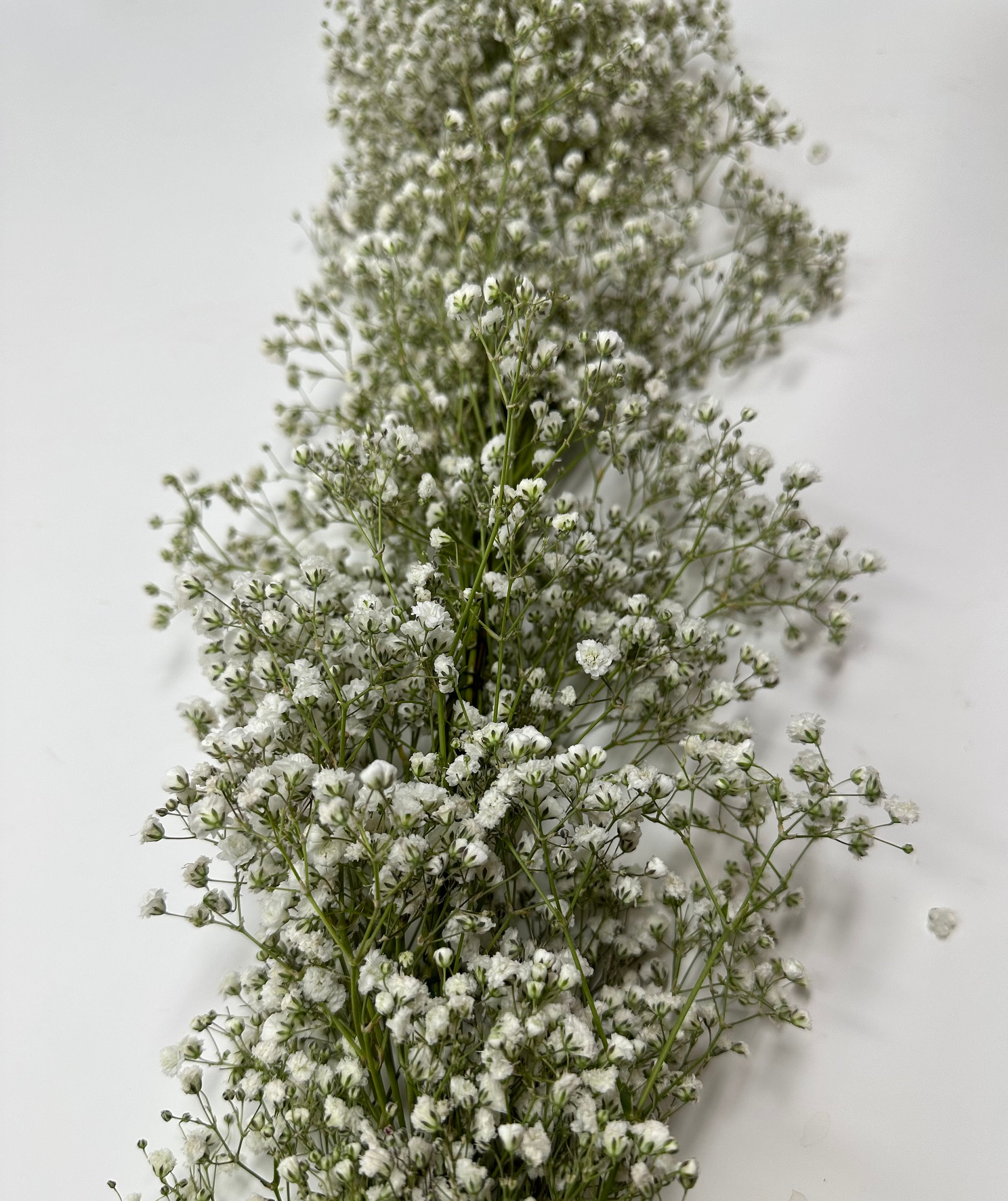 Making a baby's breath garland - The Crafted Life