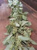 Freshly Harvested Seeded Eucalyptus Garland, Seeded Eucalyptus, Wedding Garland, Real Garland, Fresh Greens Garland, Wedding Decor 