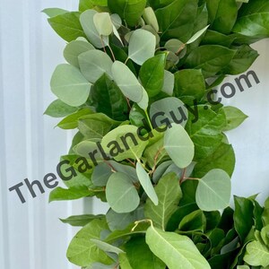 May include: A green wreath made of eucalyptus and other leafy branches. The wreath is perfect for adding a touch of greenery to your home decor.
