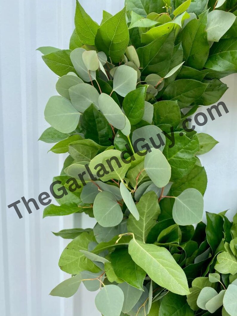 May include: A green wreath made of eucalyptus and other leafy branches. The wreath is perfect for adding a touch of greenery to your home decor.
