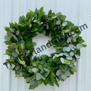 Salal and Silver Dollar Eucalyptus Wreath, Fresh Eucalyptus, Fresh Foliage Wreath, Salal Wreath, Door Wreath