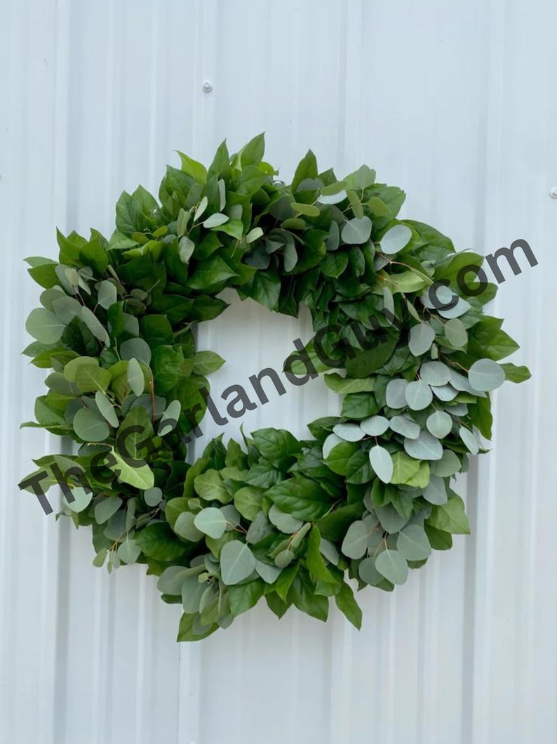 May include: A green and silver eucalyptus wreath against a white background. The wreath is made from fresh eucalyptus leaves and branches.