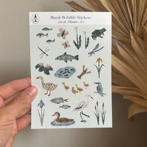 May include: A sheet of "Marsh Wildlife Stickers" by Sarah Gleason Art. The stickers feature illustrations of marsh animals and plants, including fish, butterflies, frogs, dragonflies, ducks, and a heron. The stickers are in various colours, including green, blue, and brown.