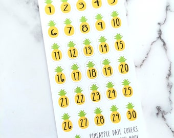 Planner sticker, Pineapple Date Cover - DC0021 - Gift for Her - Daily Planner - Summer Date Covers - mothers day gift -