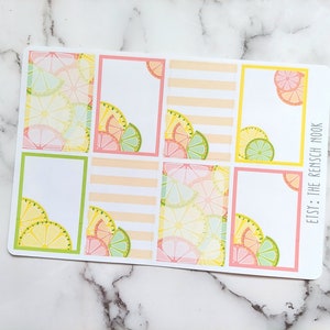 Citrus Planner Stickers Full Box HS11 Happy Planner Planificador de vida regalo para ella imagen 1