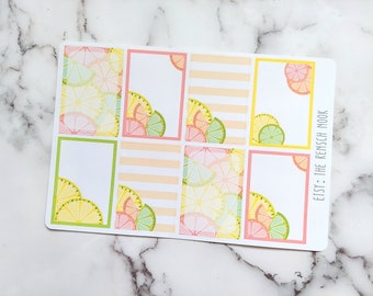 Citrus Planner Stickers | Citrus Full Box Planner Stickers | Lemon & Orange Planner Stickers | Summer Planner Decor | Fruit Planner Stickers