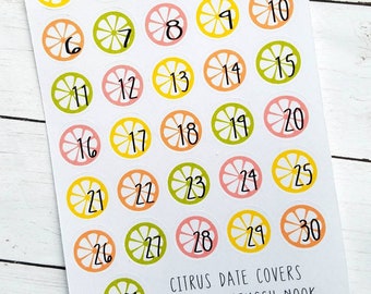 Planner Sticker, Citrus Date Covers - DC002 - Gift for her - Daily Planner - Happy Planner - Summer - Mothers day gift