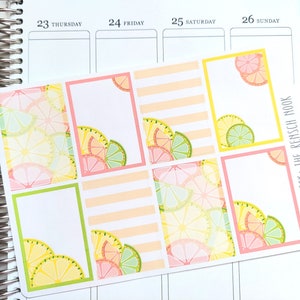 Citrus Planner Stickers Full Box HS11 Happy Planner Planificador de vida regalo para ella imagen 2