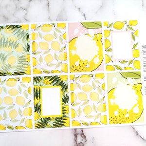 Lemon Planner Stickers Full Box - HS45 - Happy Planner - Life planner - gift for her