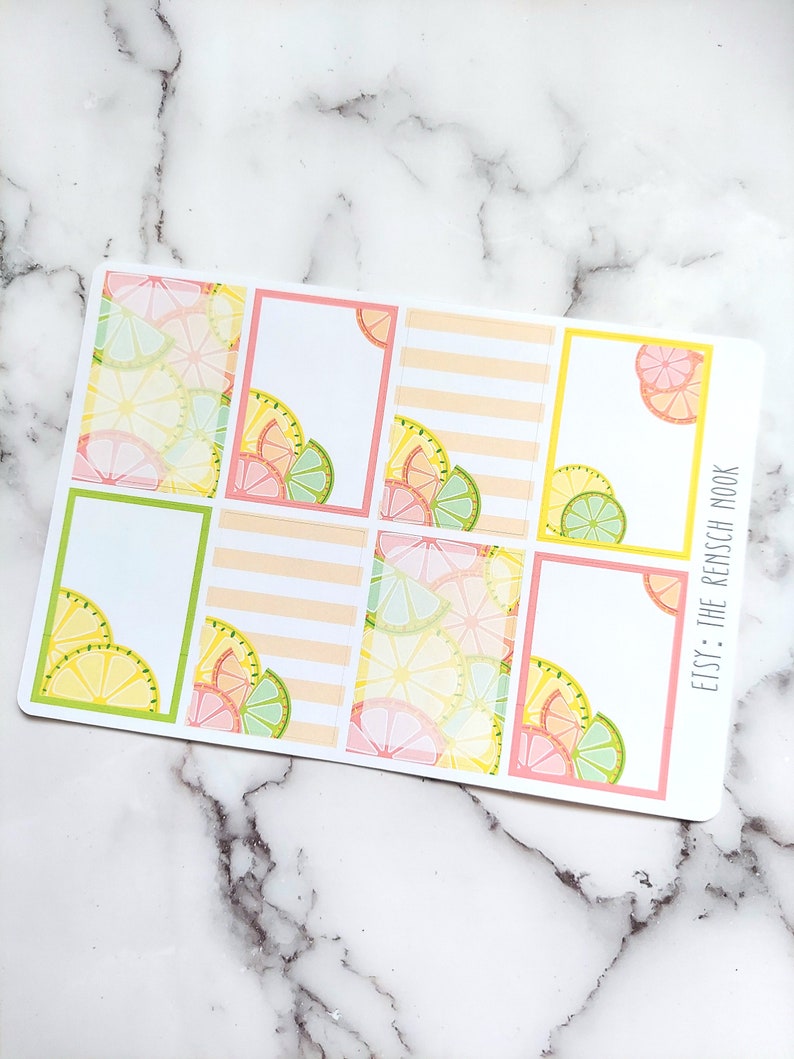 Citrus Planner Stickers Full Box HS11 Happy Planner Planificador de vida regalo para ella imagen 4