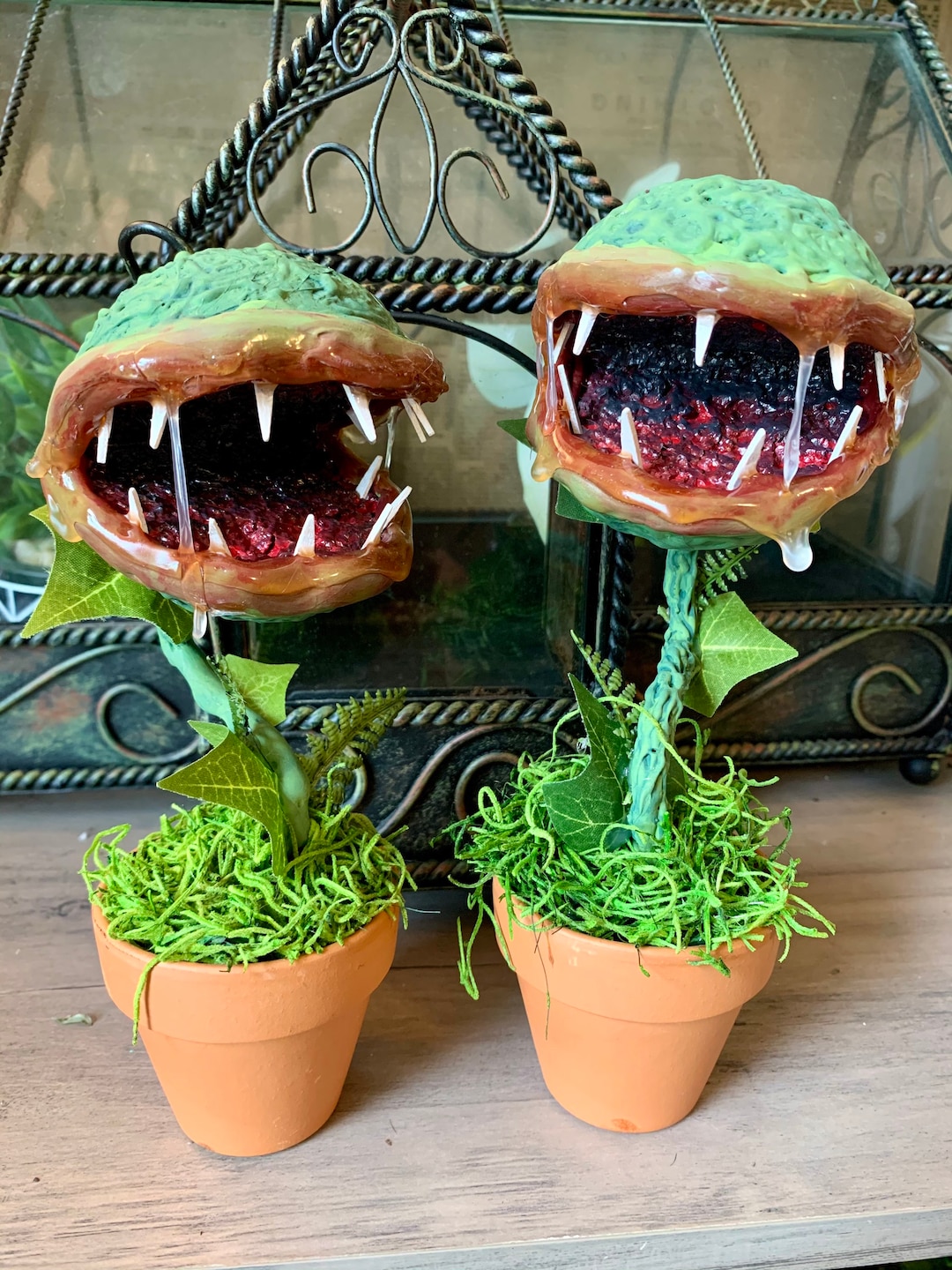 Angry Chomp, Plant Monster, Carnivorous Plant - Etsy