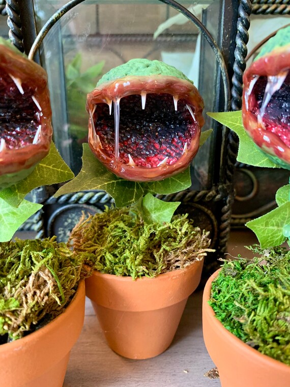 Angry Chomp, Plant Monster, Carnivorous Plant - Etsy