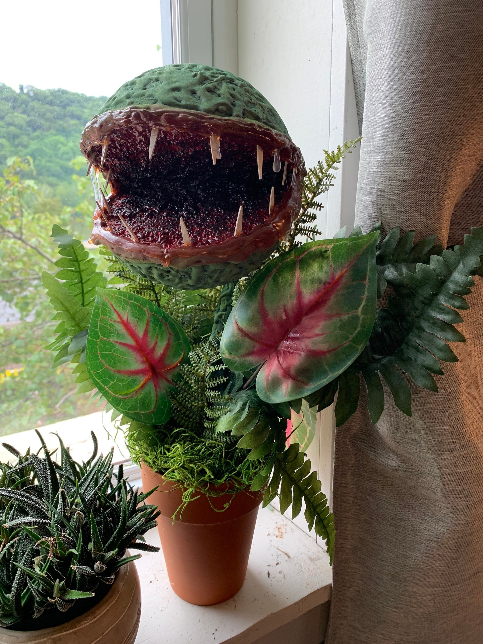 Angry Chomp Plant Monster Carnivorous Plant | Etsy
