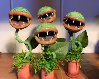 Angry Plant, Chompy Plant, Venus Fly Trap Plant