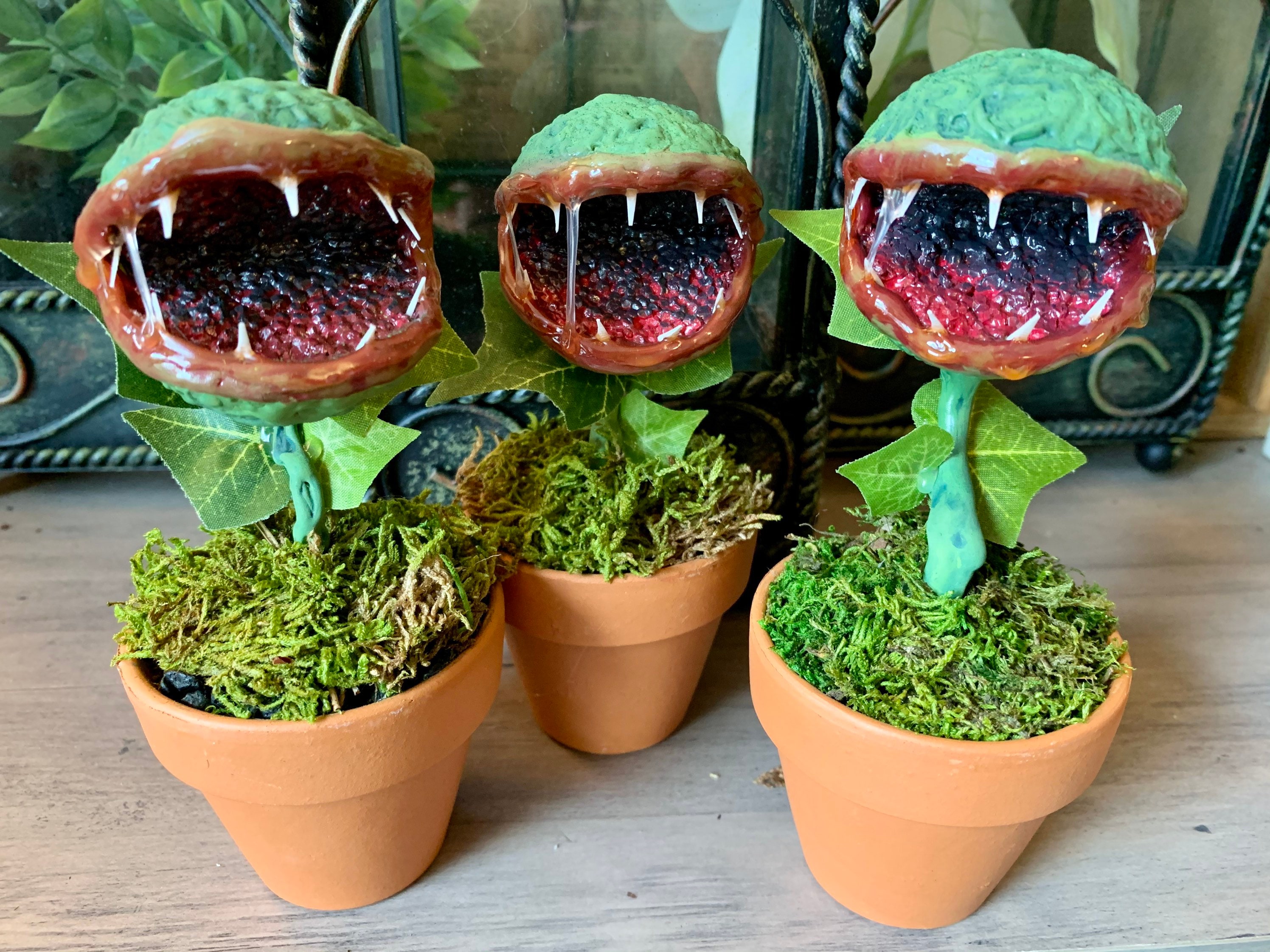 Angry Chomp, Plant Monster, Carnivorous Plant