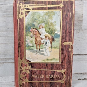 The Water Babies by Charles Kingsley Wood Grain STYLE Antique Hardcover Book