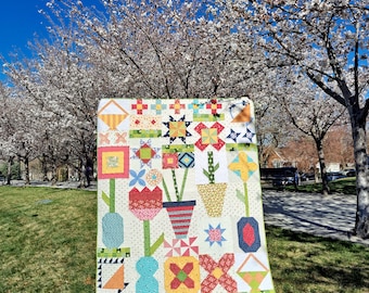 Blooms & Baskets  Sampler Quilt