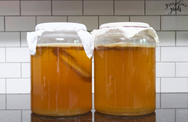 Kombucha 101 Beginners Guide Diy How To Instructions Level 1 Kombucha 101 Beginners Guide Diy How To Instructions Level 1