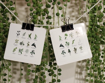 Houseplant Single Stickers