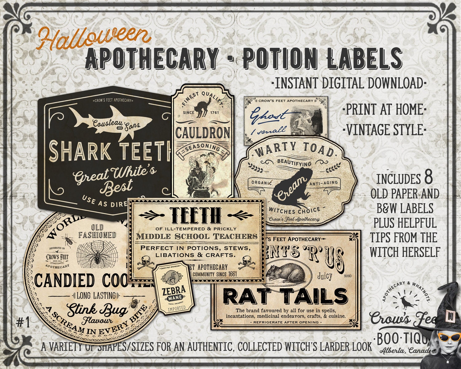 vintage look potion labels 1 halloween apothecary labels for etsy new zealand