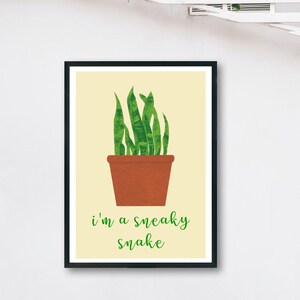 Snake Plant Art