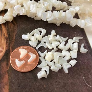 May include: A strand of white mother of pearl chip beads with a pile of loose beads next to it. The beads are irregular in shape and have a slightly iridescent sheen. A US penny is included for scale.
