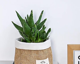 Custom Jute Hanging Storage Basket with Linen Lining, Boho Wall Organizer, Farmhouse Kitchen & Home Decor (Set of 10), P296