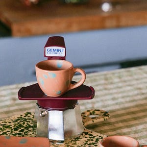 Op de afbeelding: Een zilveren en bordeauxrode espressomachine met een gespikkelde bruine kop en schotel op een groen-wit gespikkelde tegelvloer. De espressomachine heeft een label met de tekst "GEMINI EXPRESS ITALY".