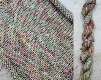 Hand Dyed Yarn in Dancing Degas