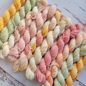 Hand Dyed Yarn Set: Ambrosia Mini Yarn Fade Set of 10 Coordinating Pastel Colors image 3