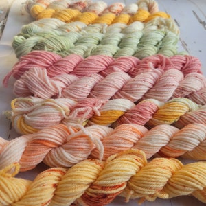 Hand Dyed Yarn Set: Ambrosia Mini Yarn Fade Set of 10 Coordinating Pastel Colors image 6