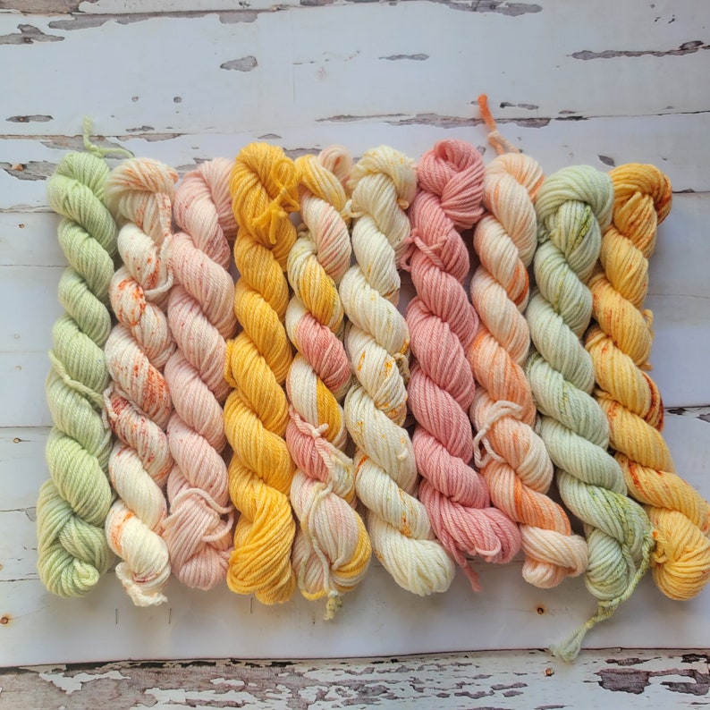 Hand Dyed Yarn Set: Ambrosia Mini Yarn Fade Set of 10 Coordinating Pastel Colors image 5