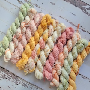 Hand Dyed Yarn Set:  Ambrosia Mini Yarn Fade Set of 10 Coordinating Pastel Colors