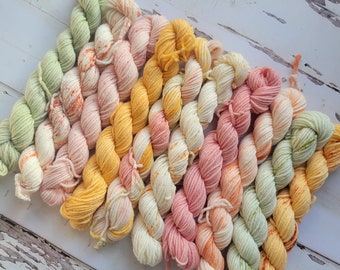 Hand Dyed Yarn Set:  Ambrosia Mini Yarn Fade Set of 10 Coordinating Pastel Colors