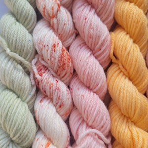 Hand Dyed Yarn Set: Ambrosia Mini Yarn Fade Set of 10 Coordinating Pastel Colors image 2