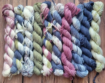 Hand Dyed Yarn Set: English Garden Mini Yarn Fade Set of 10 Coordinating Colors