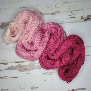 Hand Dyed Yarn in Posh