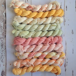 Hand Dyed Yarn Set: Ambrosia Mini Yarn Fade Set of 10 Coordinating Pastel Colors image 4