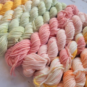 Hand Dyed Yarn Set: Ambrosia Mini Yarn Fade Set of 10 Coordinating Pastel Colors image 7