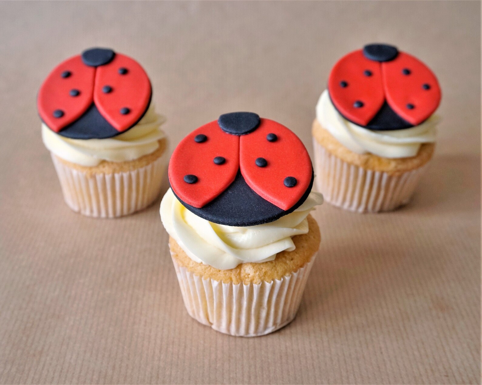 12 Fondant Ladybug Cupcake Toppers for Ladybug Themed First Etsy