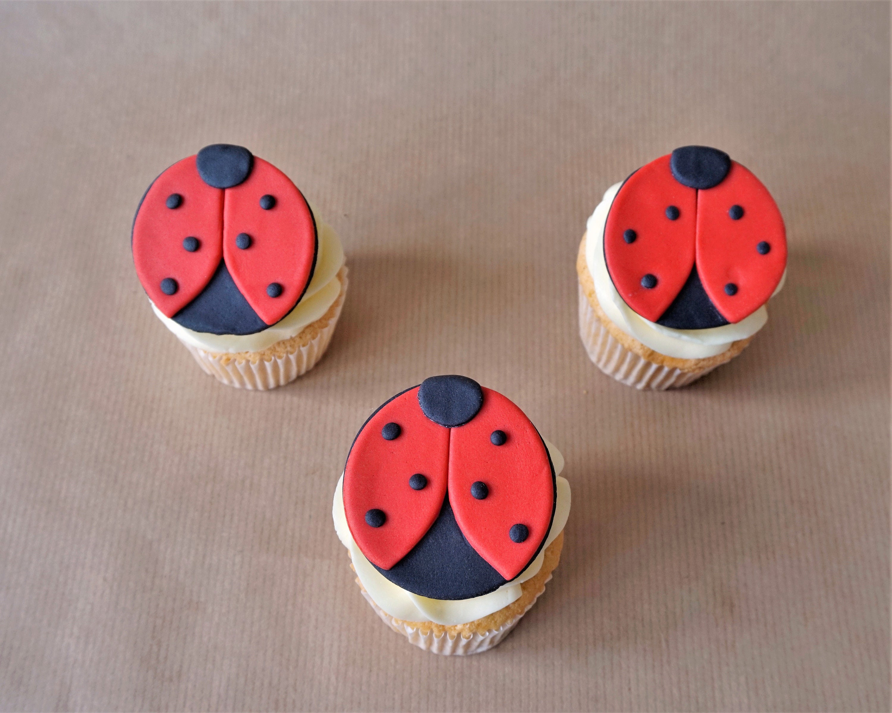 12 Fondant Ladybug Cupcake Toppers for Ladybug Themed First Etsy