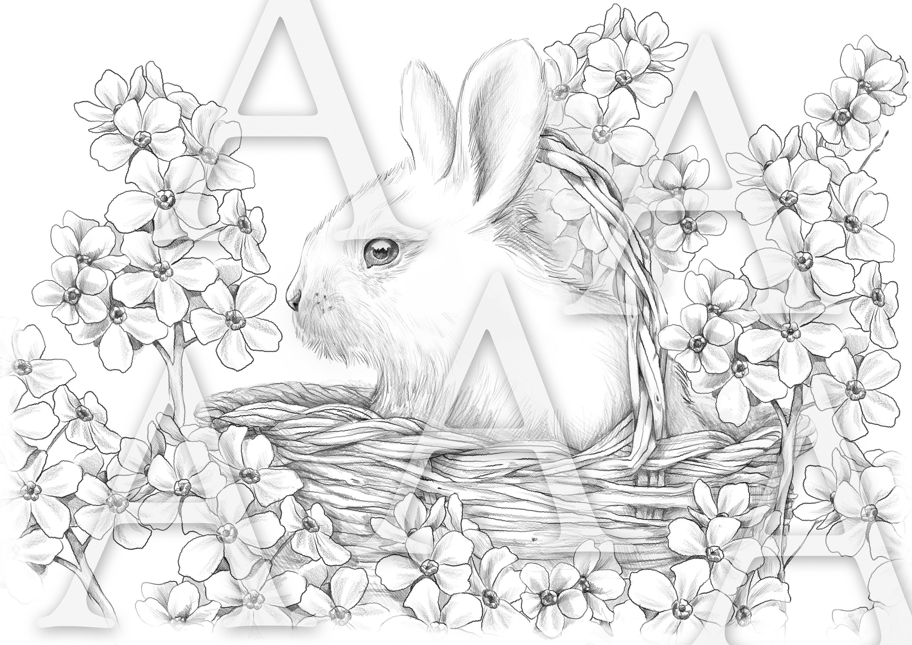 Colouring Pages Collection Collection Coloring Page to Download, Printable Adult Coloring Pages ...