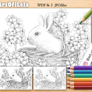 Coloring Page to Download, Printable Adult Coloring Pages, Grayscale Illustration